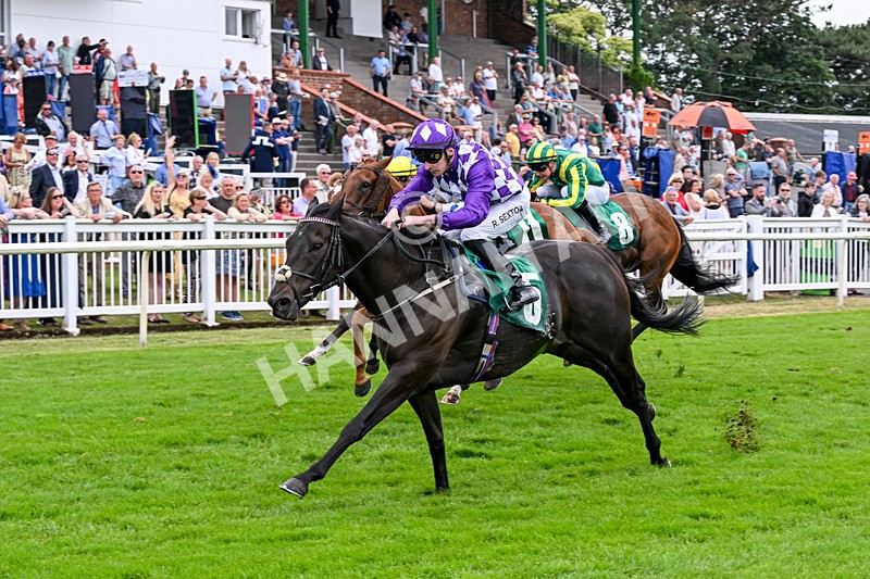 010726-Race 7-Indian Run-8894 - Race 7 16.10pm Weatherbys Global Stallions App Handicap