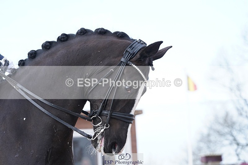 250403-101724-00713 - 016-Sarah.Millis-Le.Zorro.BH