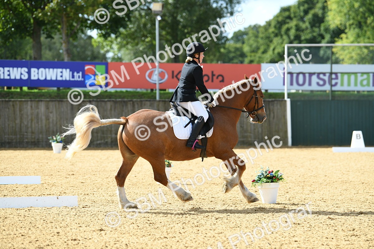 SBM_03121 - D7 Small Tour Championship Prelim 1