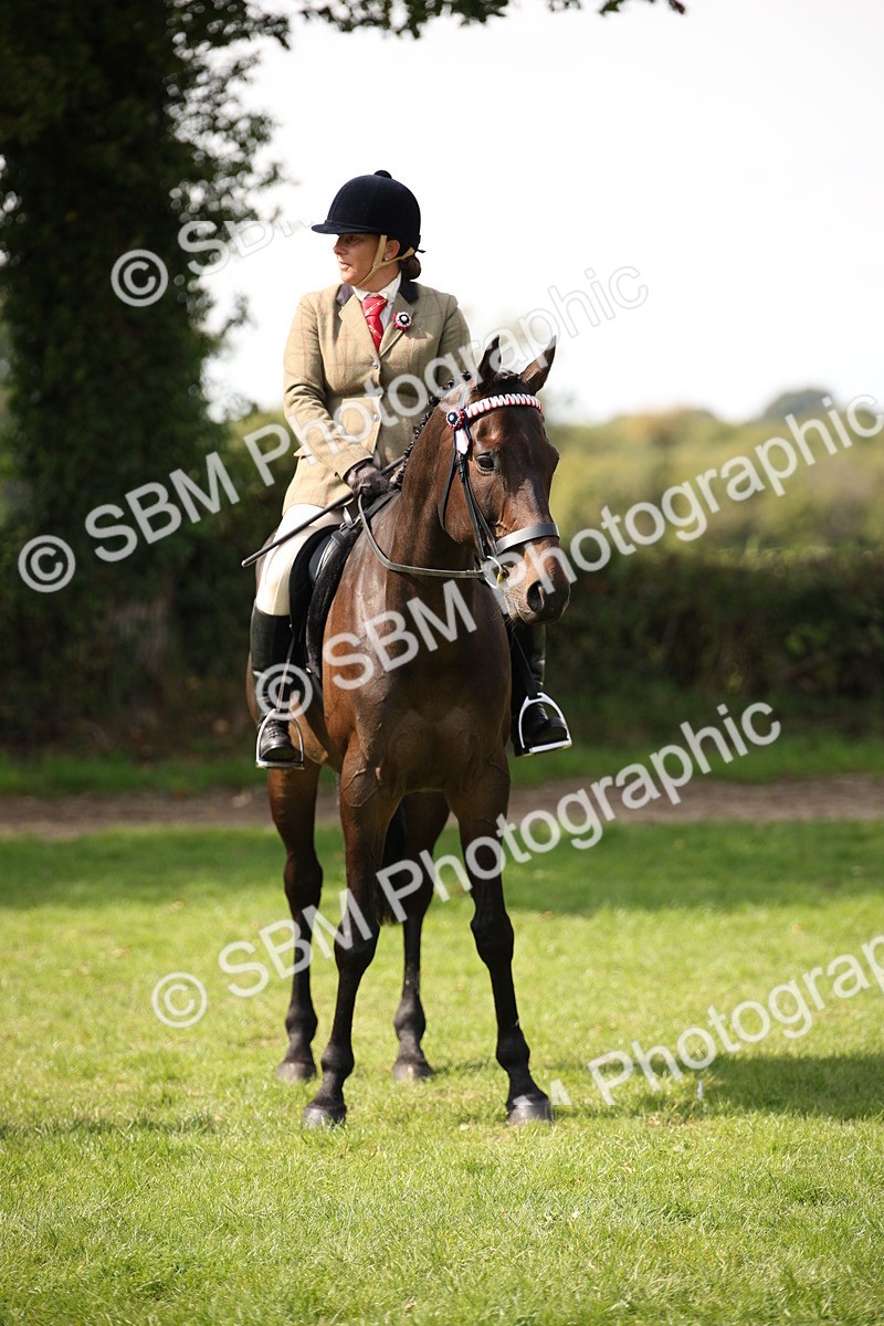 SBM_65987 - S64 - Riding Horse & Hack & Thoroughbred Ridden