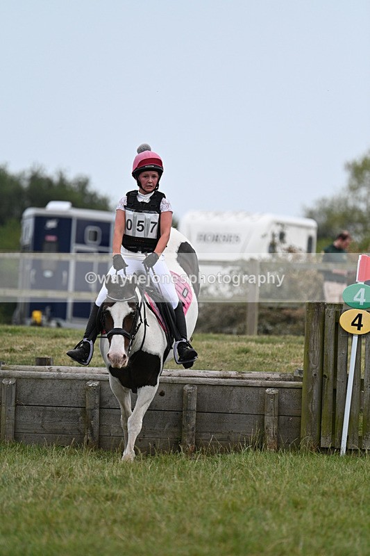 WJ7_8495 - 80cm XC Time 15:45 to 16:02