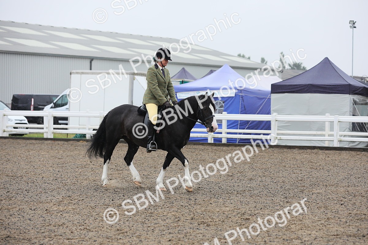 SBM_20065 - Class 802 - Ridden Groom - Helpers class