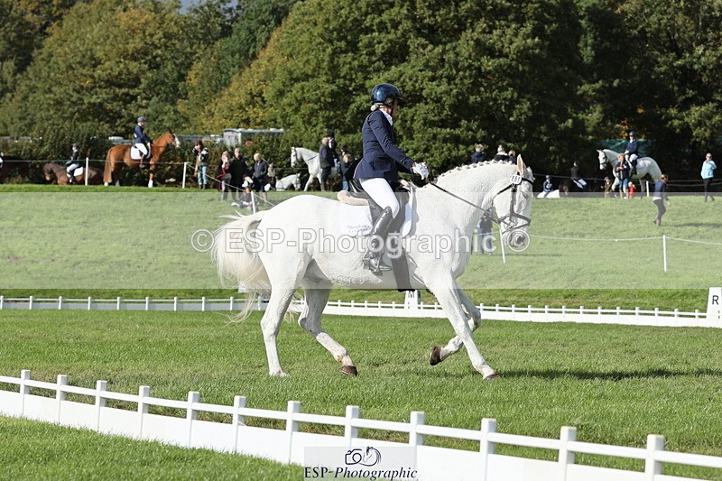 251024A-133146-12593 - H-651-Victoria.Tar