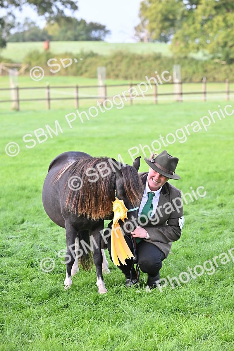 SBM_55386 - S44 - Youngstock In Hand