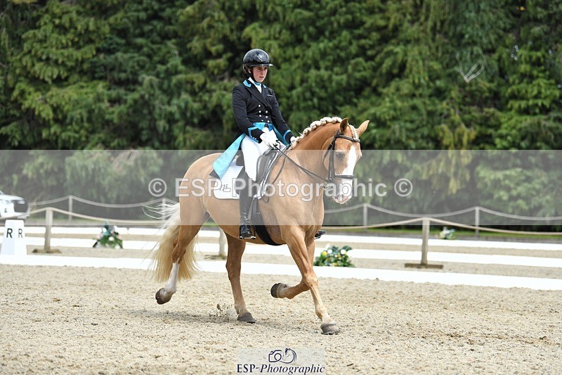 230812-142251-04686 - Cls 7 FEI PSG Bronze