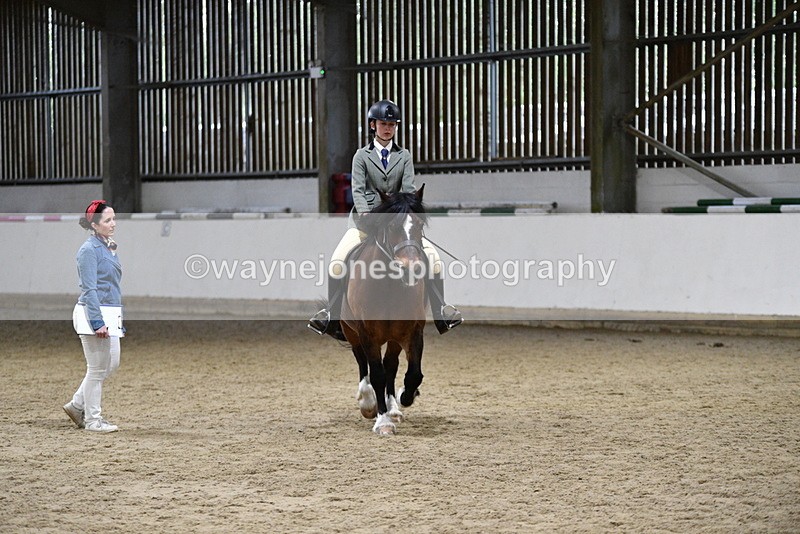 WJ5_8483 - Class 14 Novice Ridden/Rider