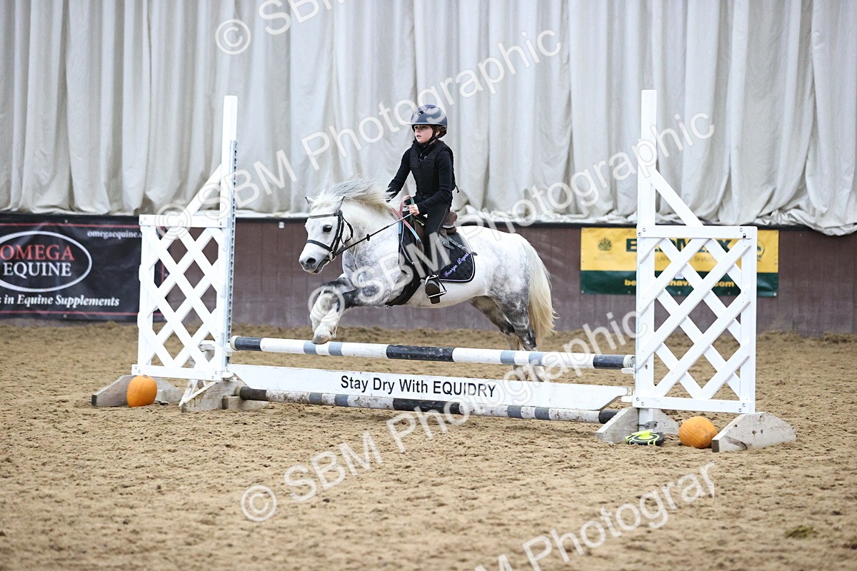 SBM_001386 - Class 3 - Horse & Hound 60cm