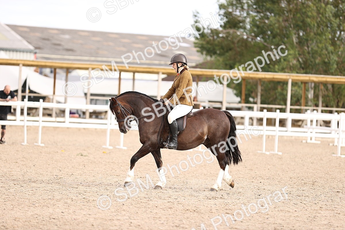 SBM_18211 - Class 423 - Equitation (best rider) Adult
