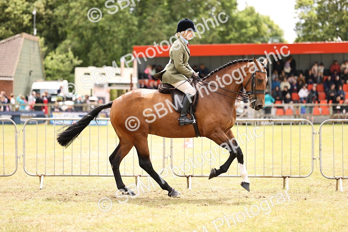 SBM_14662 - Class 88-89 - LIHS BSHA Rising Star of Ridden Hunter Type