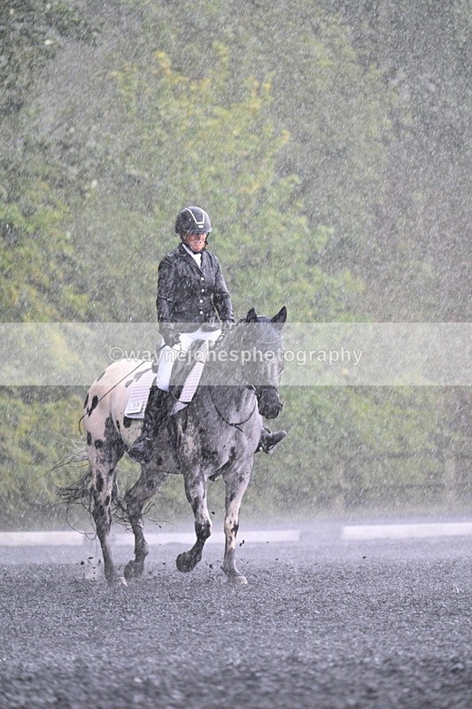 WJ7_8275 - Time 14:02 to 14:11