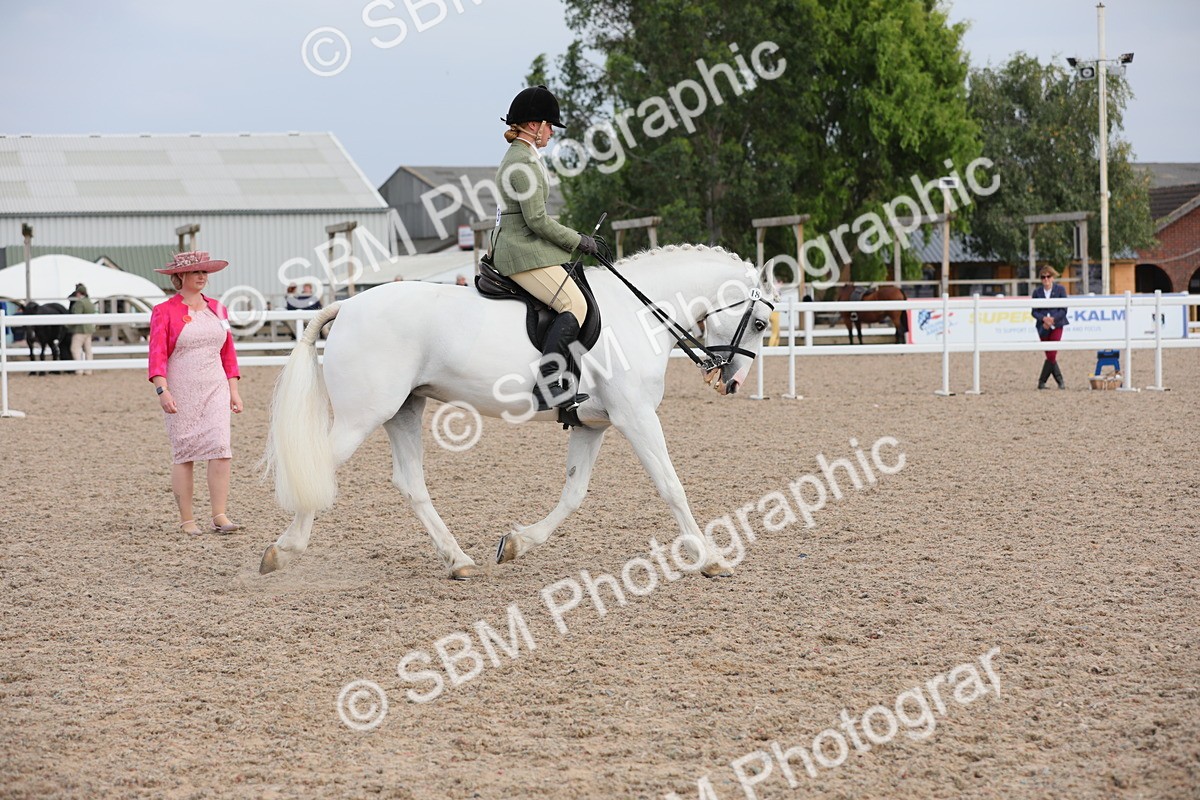 SBM_17791 - Class 315 Best Horse/Rider Combination