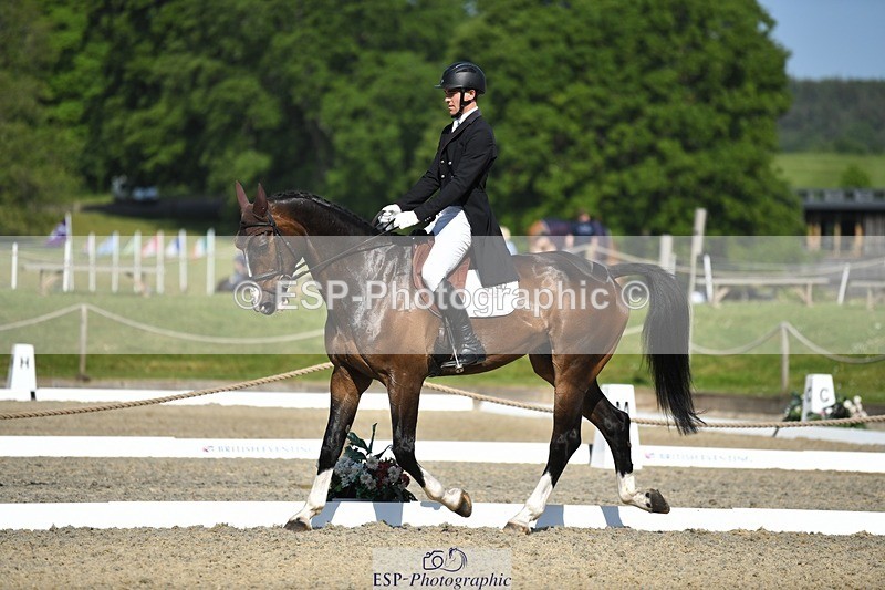 230525-093830-01639 - 307-PENHILLS_CANDY_MAN-Max_Warburton-WEDTrotUp+DR