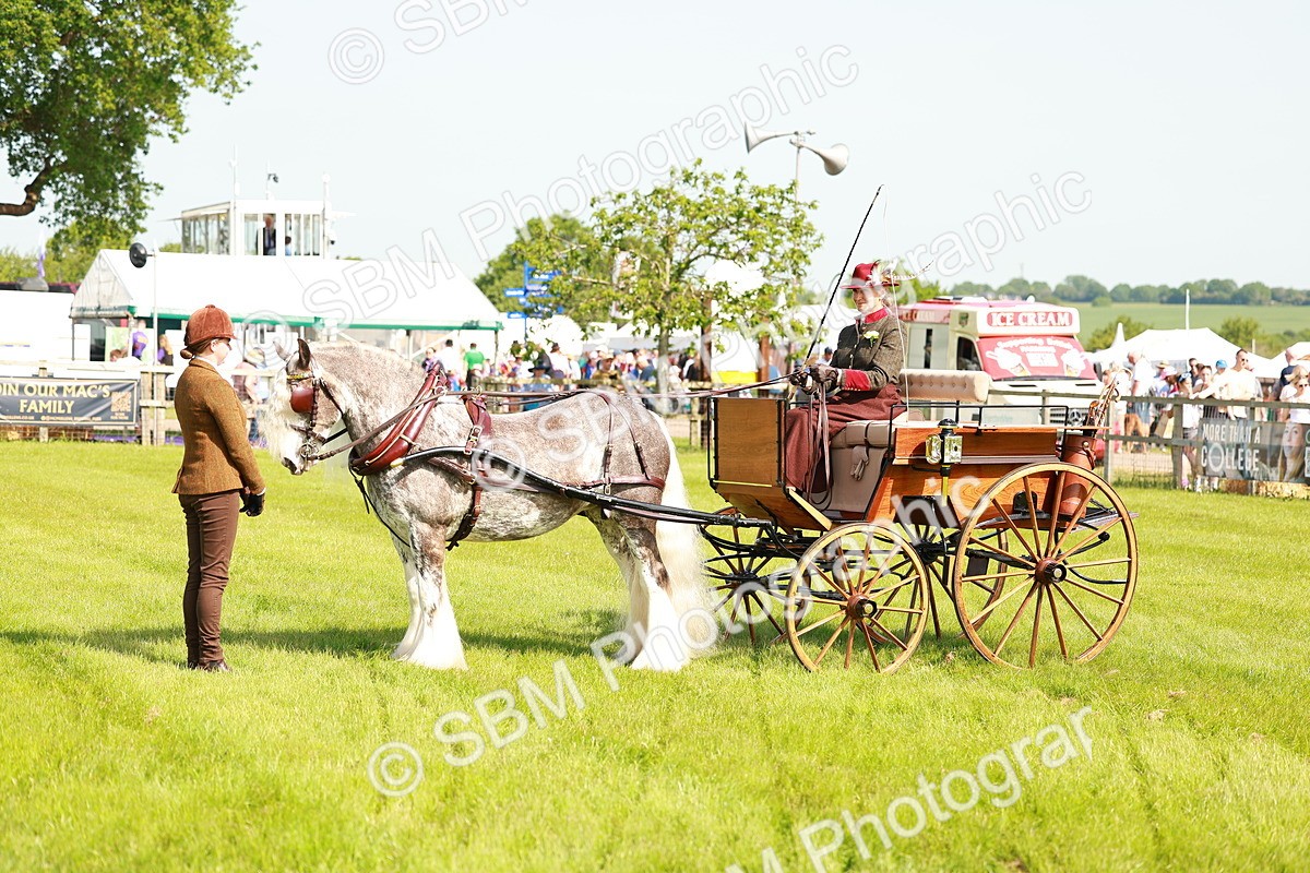 SBM_02602 - Class 2-4 - HOYS Private Driving