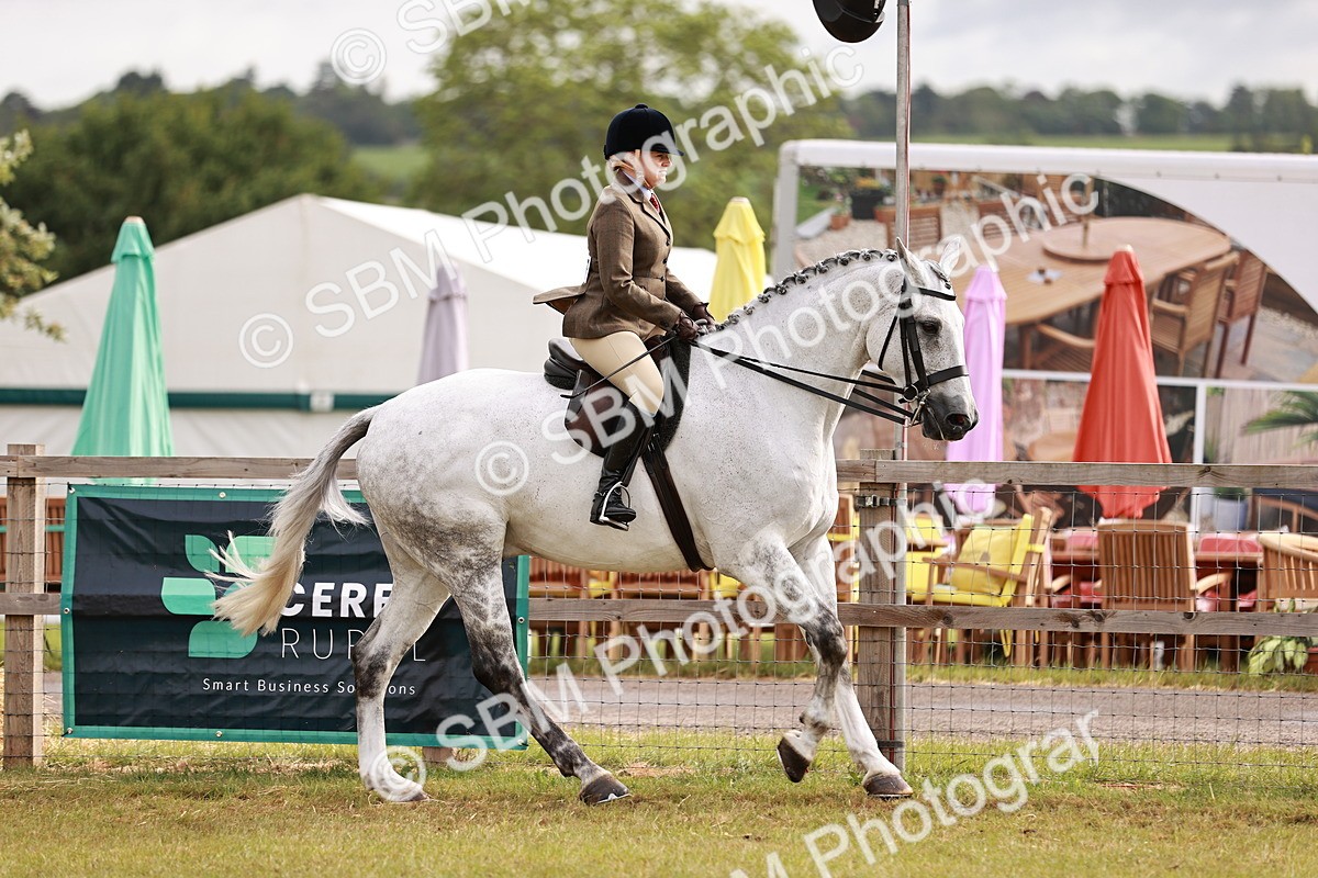 SBM_10853 - Class 81-84 - RIHS Ridden hunters Inc Ladies Hunter