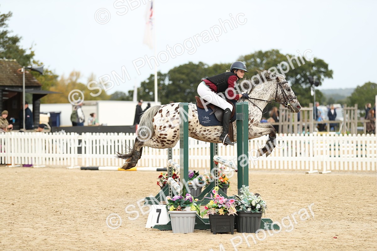 SBM_58561 - J25 - Junior Horse 80cm Championship