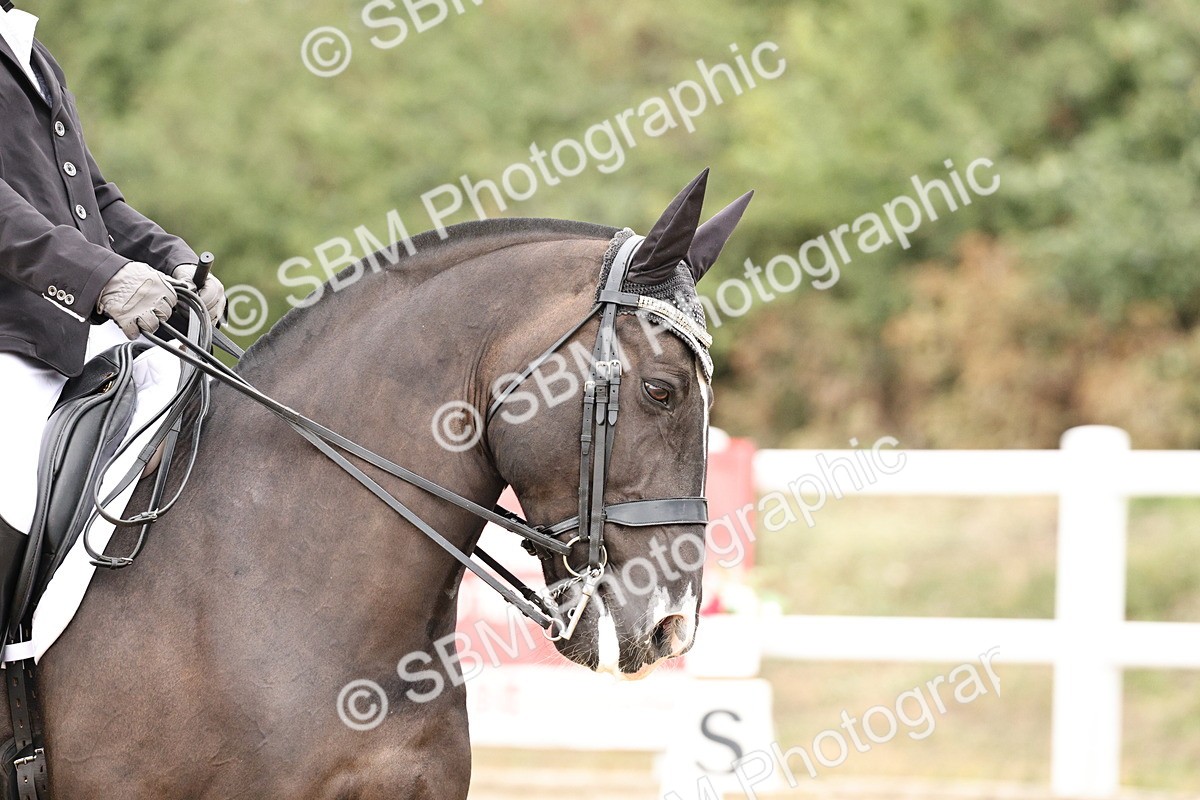 SBM_019741 - Class 18 - Elementary 5