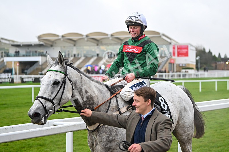 131224-Race 5-Numitor-9534 - Race 5