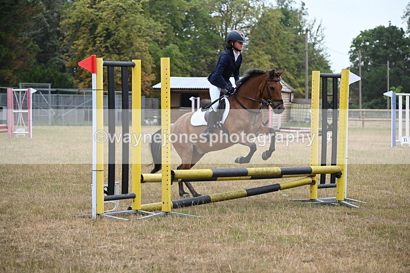 WJ6_0005 - Class 13 Novice Jumping 60cm