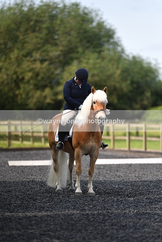 WJ5_9239 - Time 10:10 to 10:47