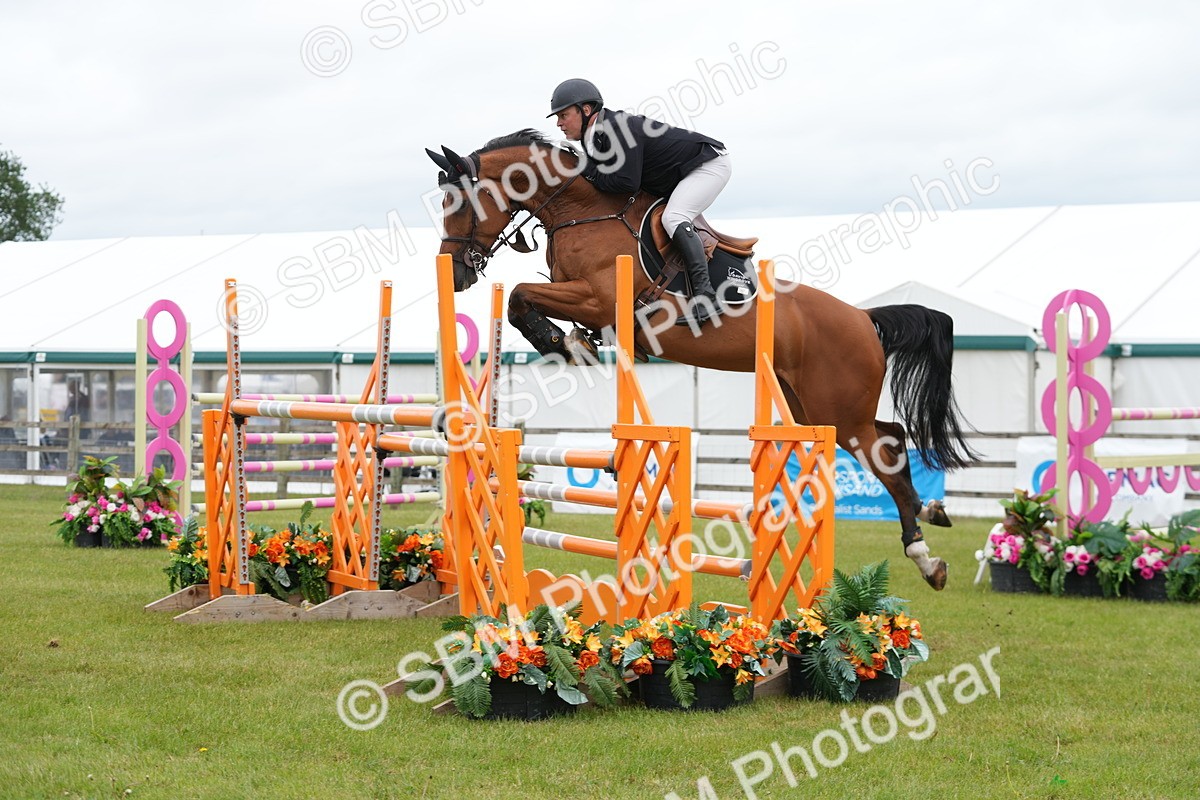 SBM_03108 - Class 201 - British Horse Feeds Speedi Beet Horse of the Year Show Grade  C