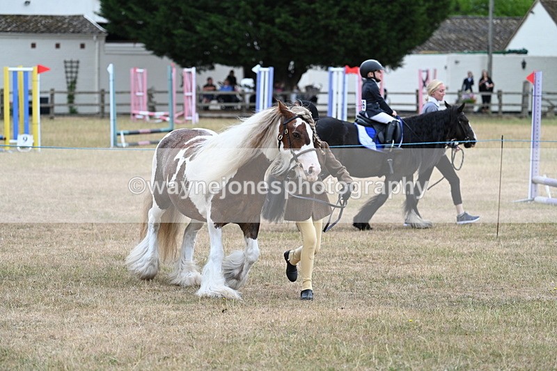 WJ7_8256 - Class 4 Prettiest Mare up to 14.2hh