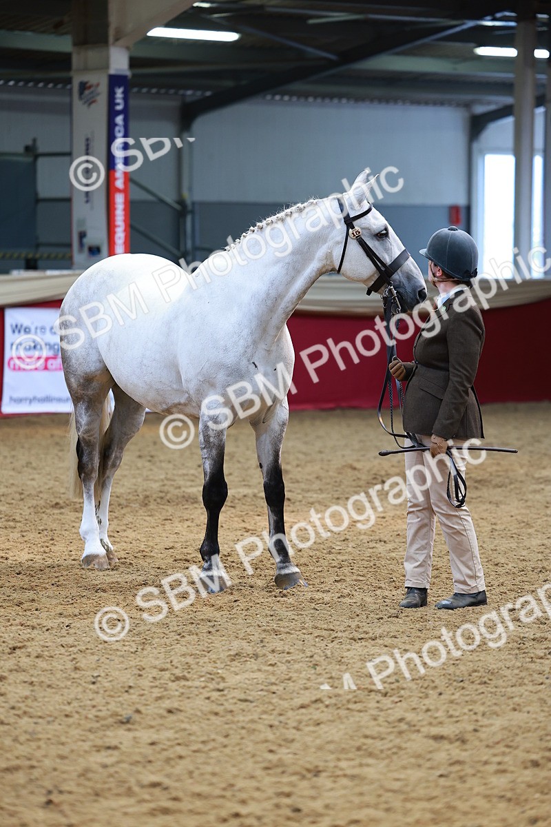 SBM_04307 - Class 9R - IH Pre-Vet
