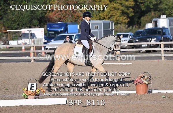 BPP_8110 - SHORT ARENA