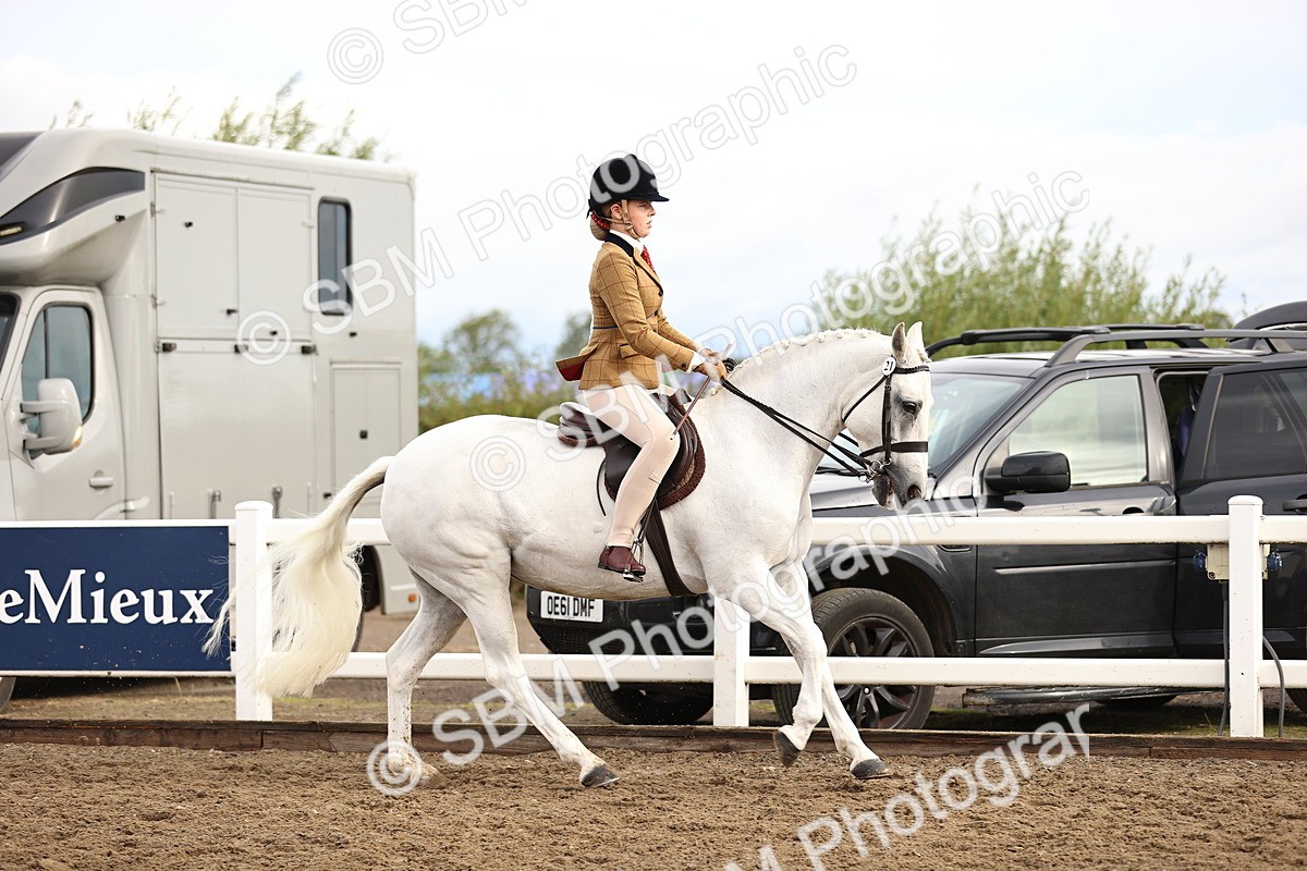 SBM_00264