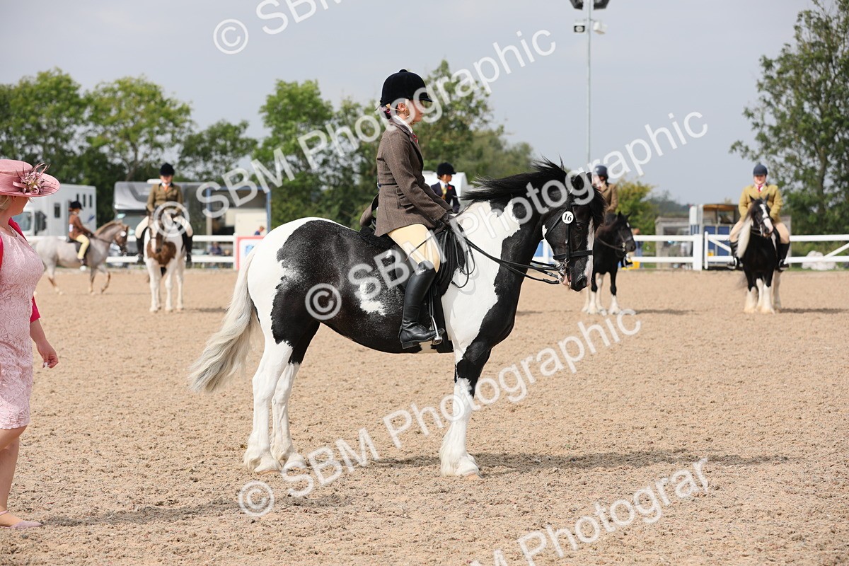 SBM_12780 - Class 307 Ridden Coloured Pony