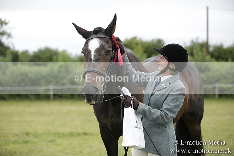 BVR160717-738 - Ring 2 BVRC Show 16/07/17