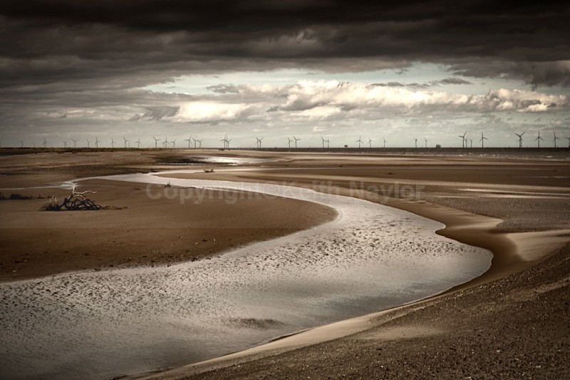 Greenshanks Creek - Latest Work