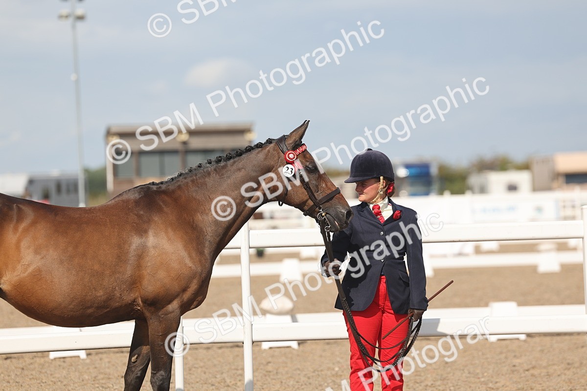 SBM_06832 - Class 25 - IH Foreign Breeds - Purebred