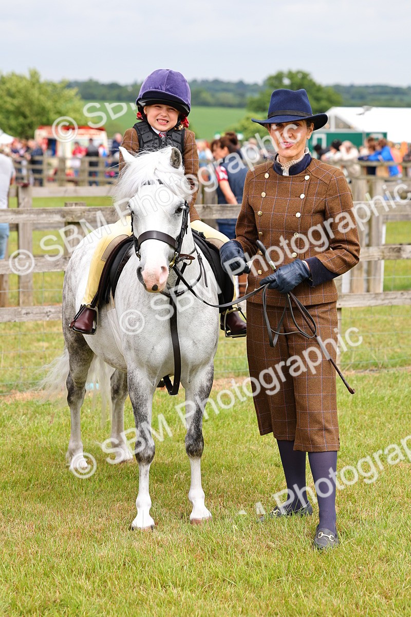 SBM_08319 - Class 42-43 - LIHS BSPS Heritage Working Sports Pony