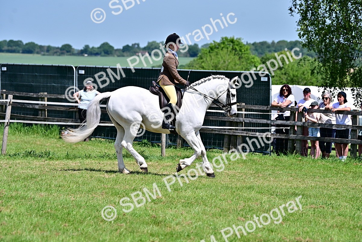 SBM_15276 - Class 95-97 - BSPS LHS Performance Ponies