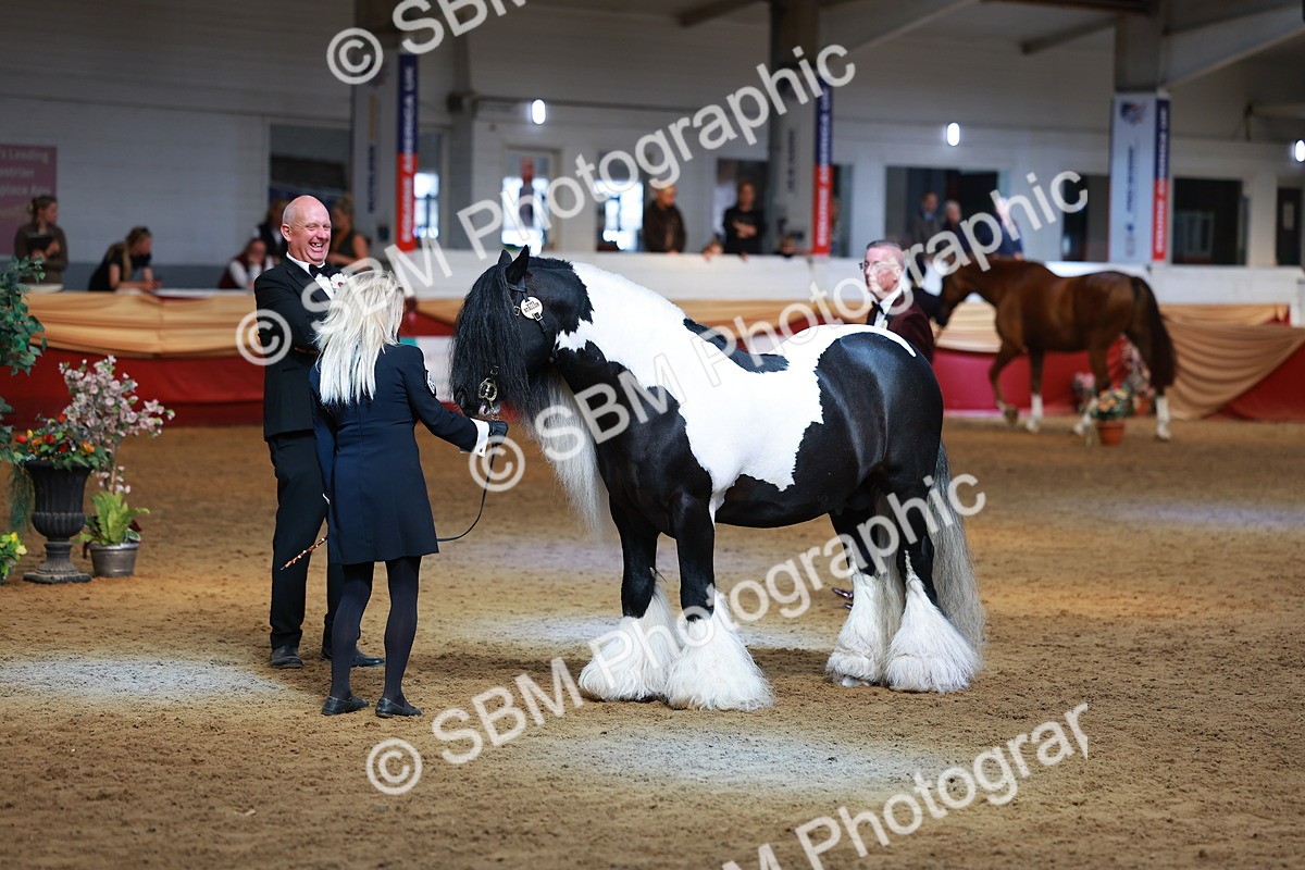 SBM_18518 - Class 903 - Sup Final - IH Pre Vet