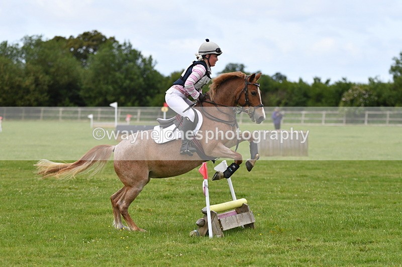 WJ5_2508 - Class 2 40cm