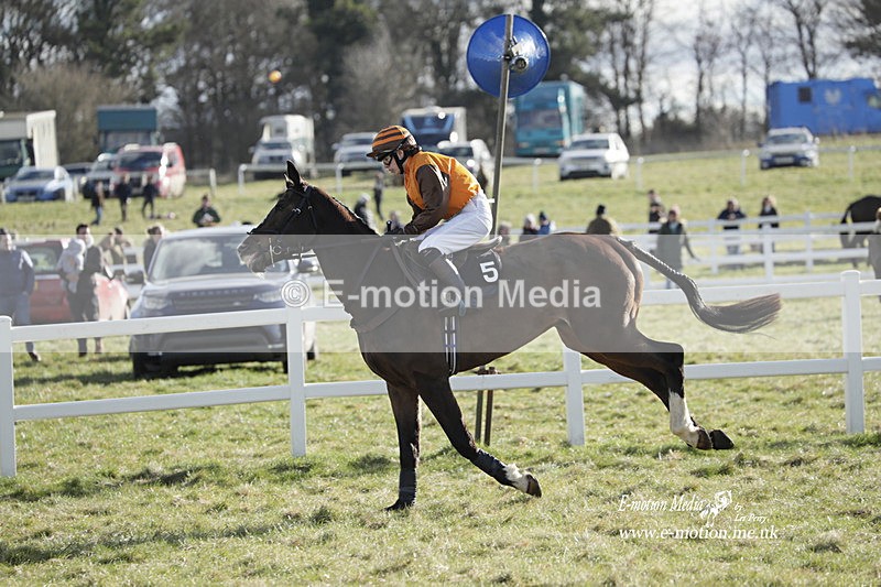 PtP 260223 900 - South & West Wilts Point-to-Point Larkhill 26/02/23