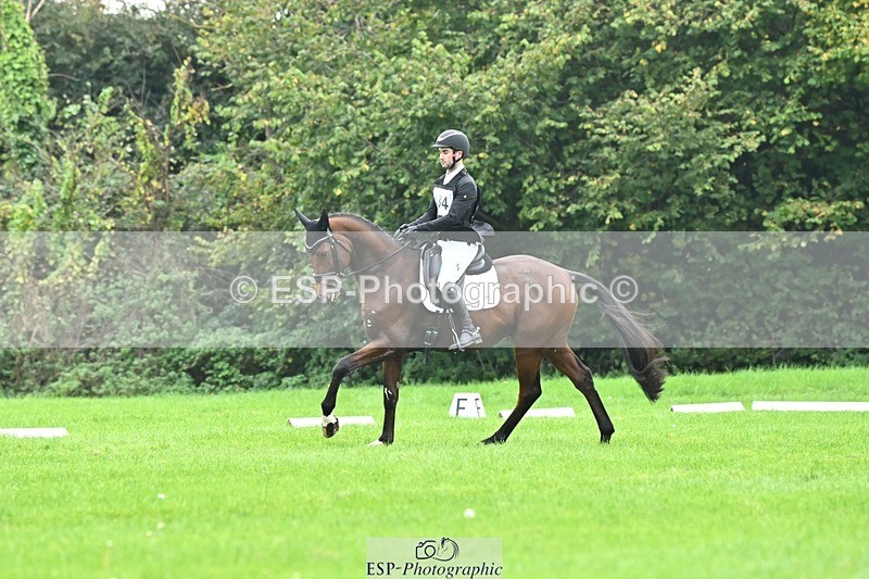 241024-144446-04353 - 584-Tommy.Greengard-I'M.ALL.IN