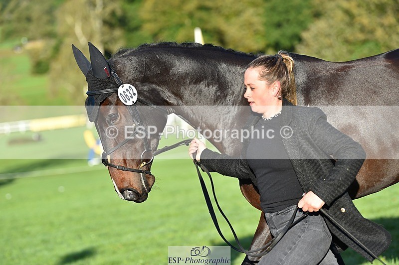 231022-092600-21785 - 632-ANGELL'S.CHOICE-Saffron.Cresswell-TrotUp+SJ
