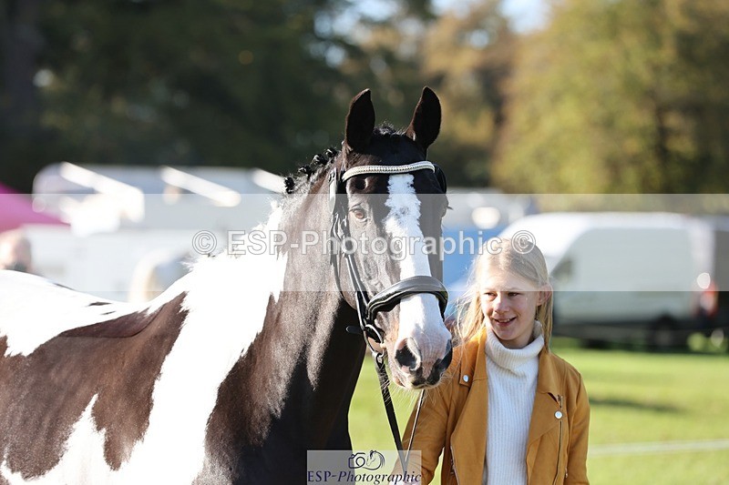 241027-095505-15582 - 387-Kelly.Knockaert-PIPER.II