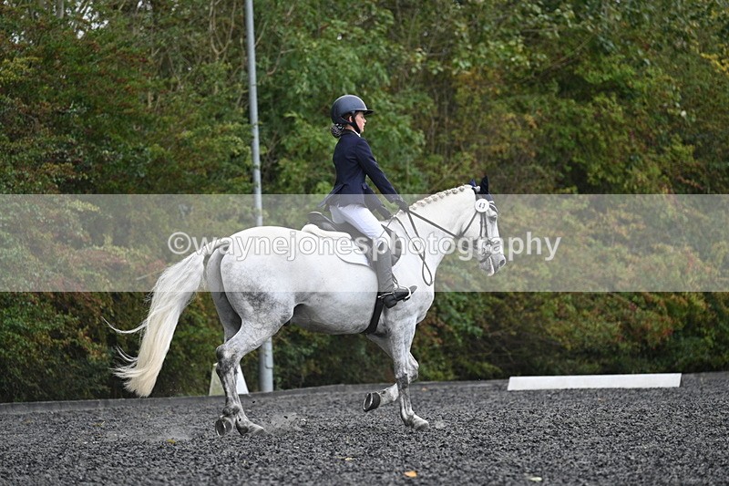 WJ7_6592 - Time 14:49 to 15:14