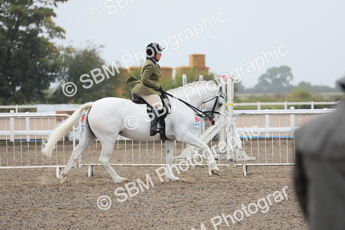SBM_20292 - Class 803 - Ridden Combination 65+