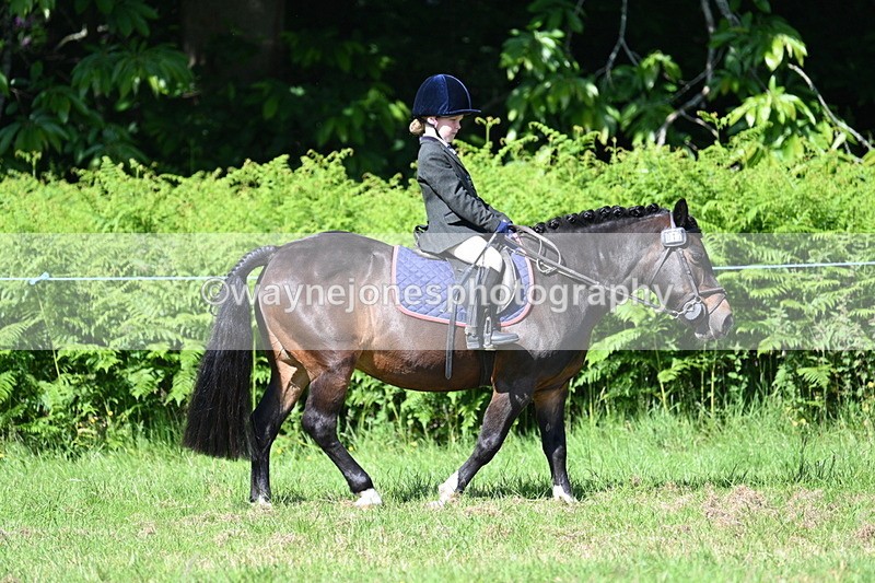 WJ7_0757 - Class 8 First Rally Pony