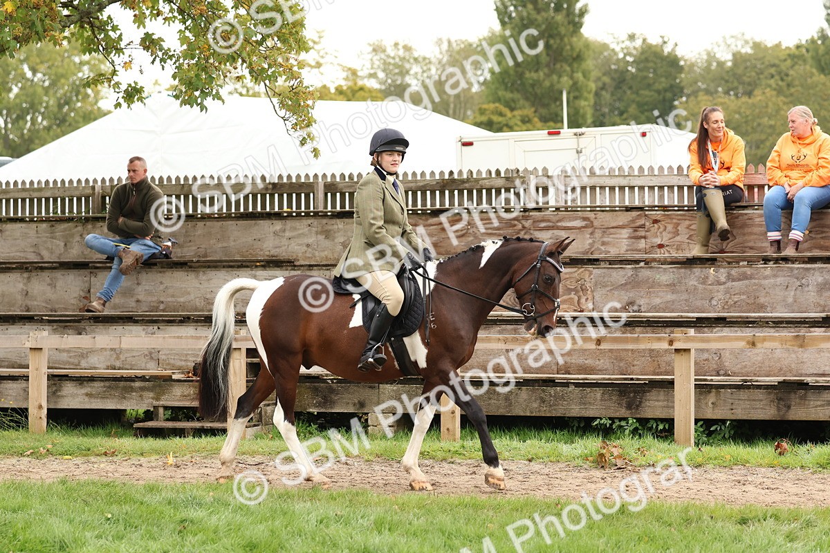 SBM_59834 - S36 - Rehabiliated Rescue Horse & Pony In Hand & Ridden