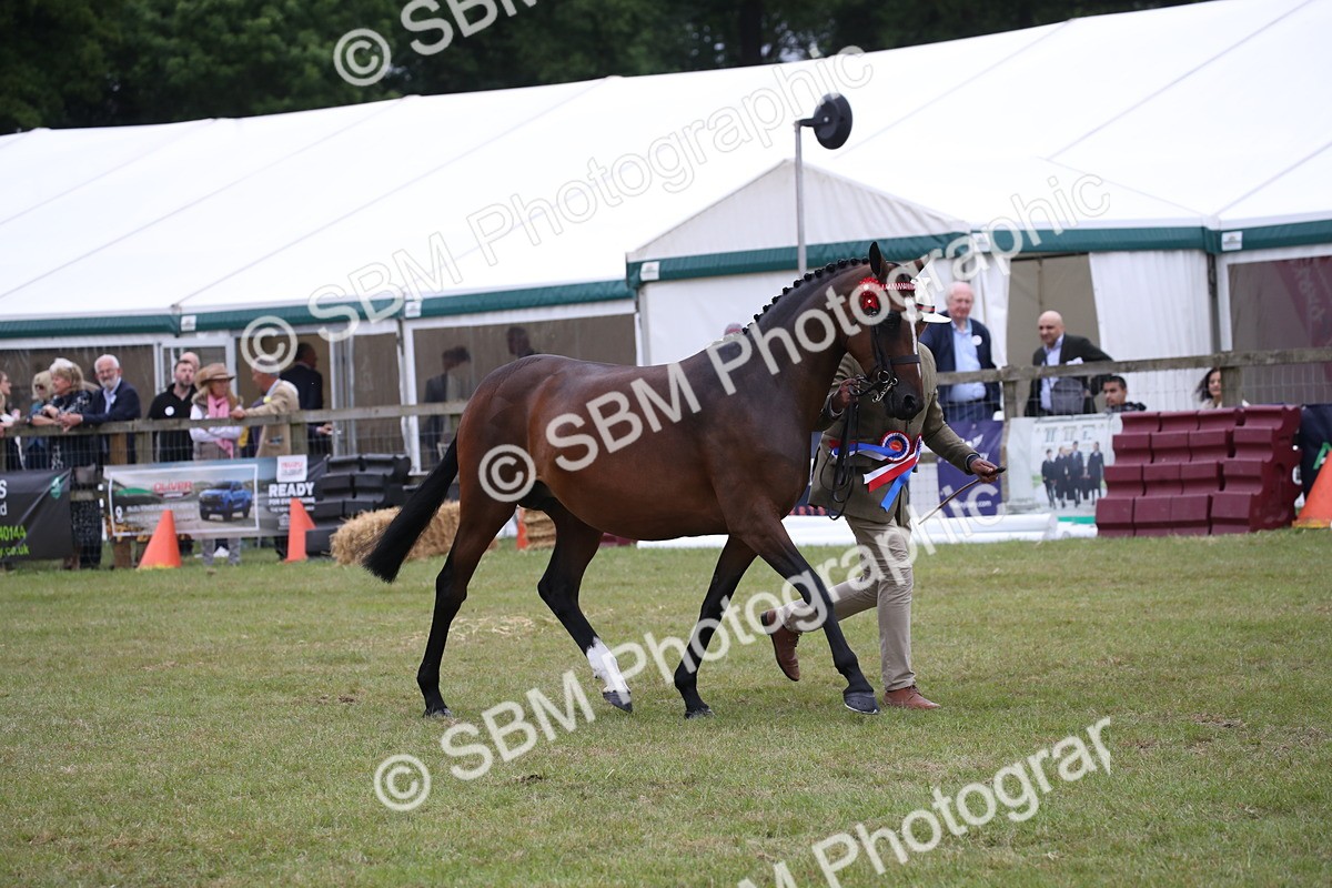 SBM_09841 - Ch 50 - Price Family Supreme In Hand