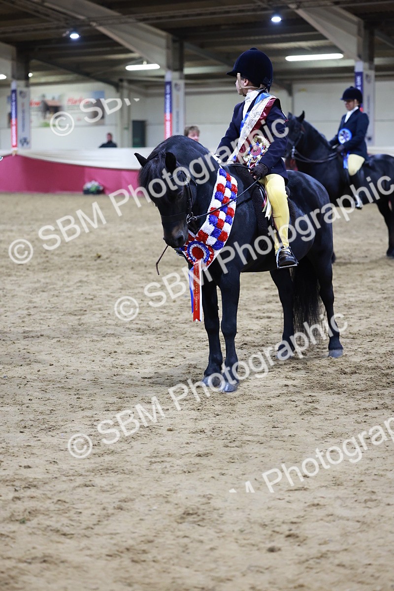 SBM_21388 - Class T - Working Veteran Champs