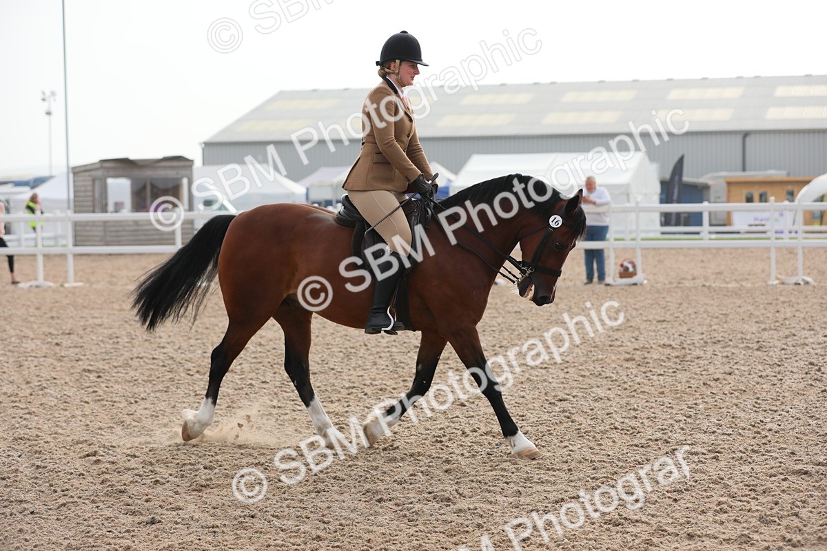 SBM_10078 - Class 302 Ridden M&M -Large Breeds