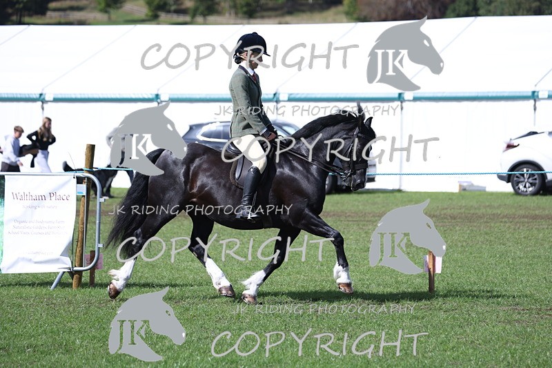 APP_3542 - Class 12 M&M ridden