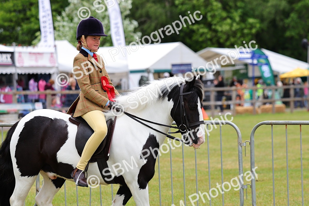 SBM_02590 - Class 9-11 Side Saddle including LIHS Rising Star Ladies Show Horse