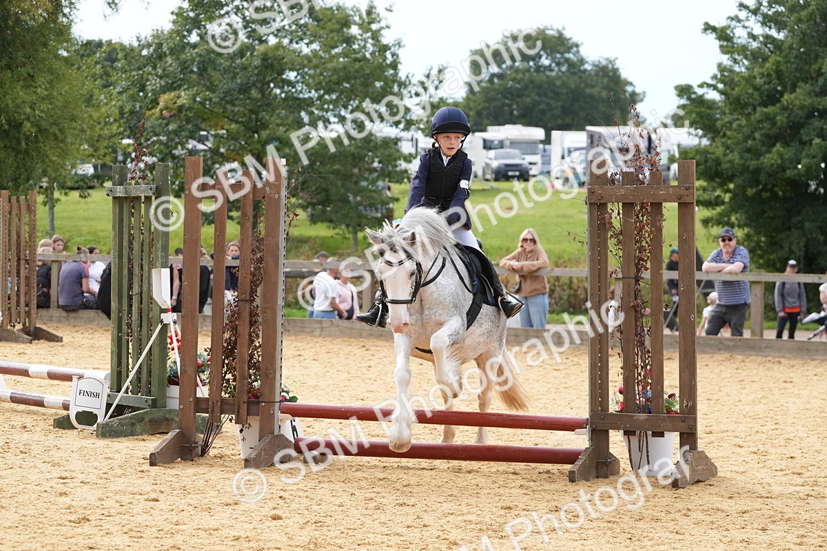 SBM_70572 - J3 - Mini Tour Junior Pony 40cm Championship